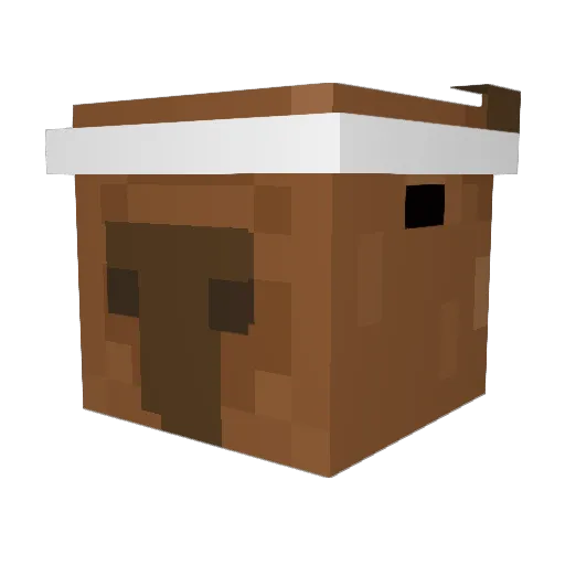 WetTacoZ Minecraft avatar head, 3D render