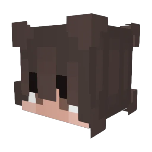 WetTomato Minecraft avatar head, 3D render