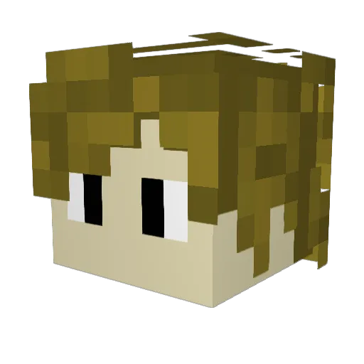 Wet_Business_Man Minecraft avatar head, 3D render
