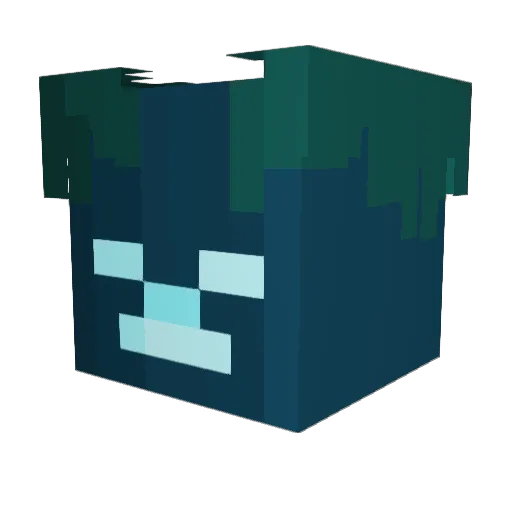 Wet_Octopus Minecraft avatar head, 3D render