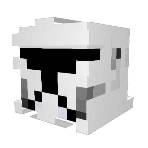 Wet_Senator Minecraft avatar head, 3D render