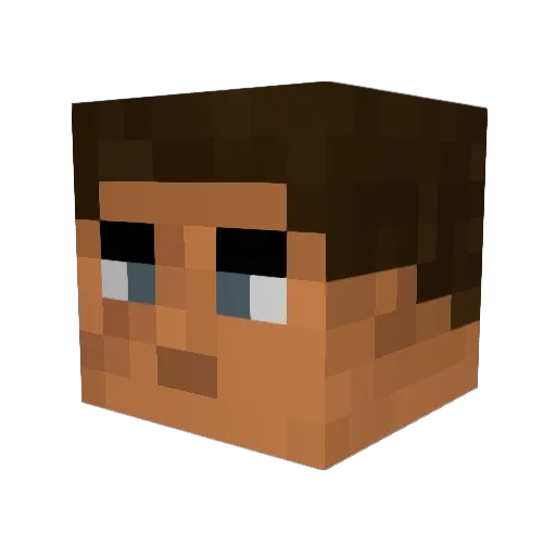 Wet_Toga Minecraft avatar head, 3D render