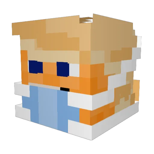 Wet_Will_E Minecraft avatar head, 3D render