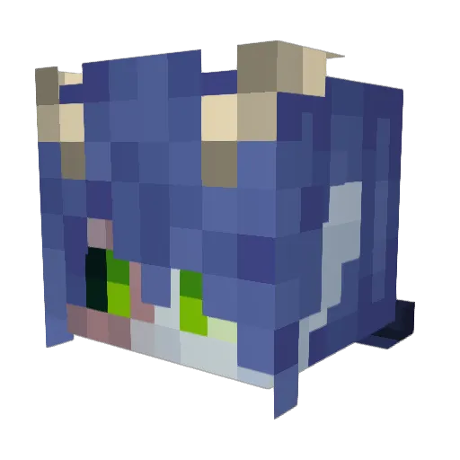 Wetc1 Minecraft avatar head, 3D render