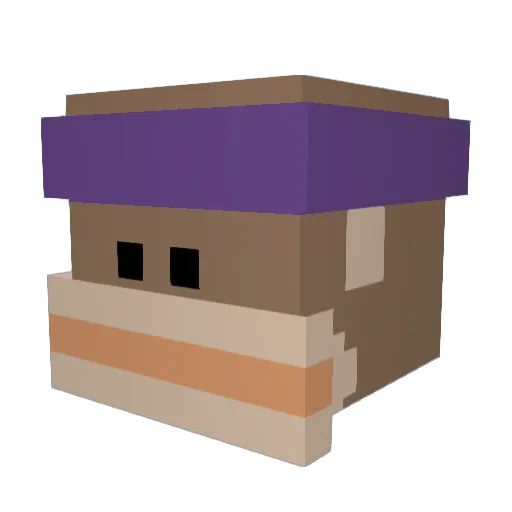 Wetmonkie Minecraft avatar head, 3D render