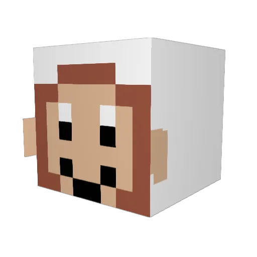 Wetnob Minecraft avatar head, 3D render