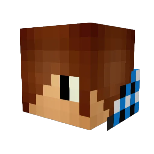 Wetor234 Minecraft avatar head, 3D render