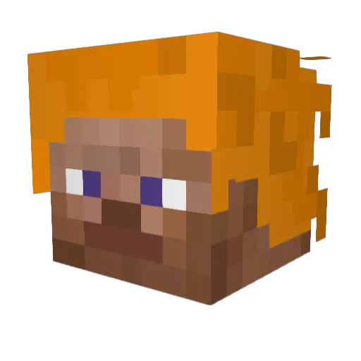 Wetowd Minecraft avatar head, 3D render