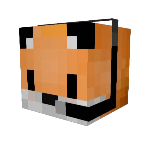 Wetro1 Minecraft avatar head, 3D render