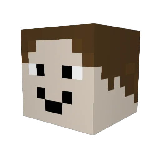Wetterfrosch74 Minecraft avatar head, 3D render