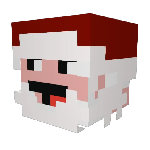 Wetwork69 Minecraft avatar head, 3D render