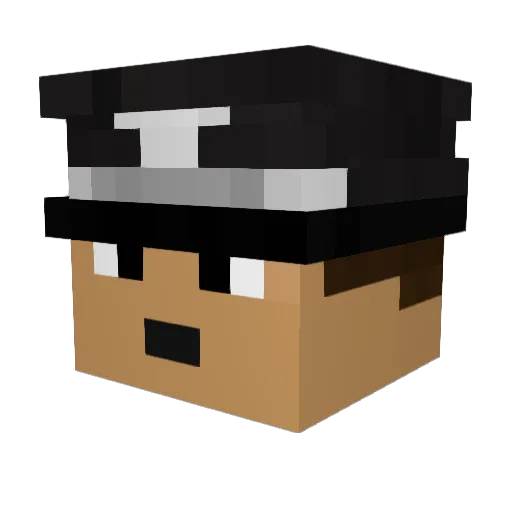 WevazoadminPls Minecraft avatar head, 3D render