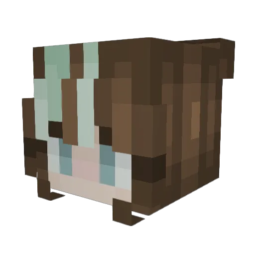 Wewcia Minecraft avatar head, 3D render