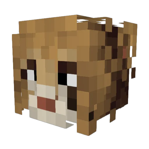Wexmond Minecraft avatar head, 3D render