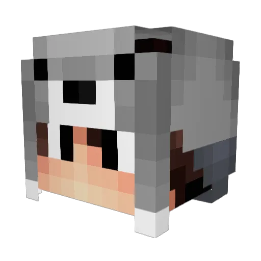 Weynto Minecraft avatar head, 3D render