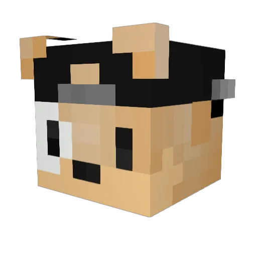 Weyssitoo Minecraft avatar head, 3D render