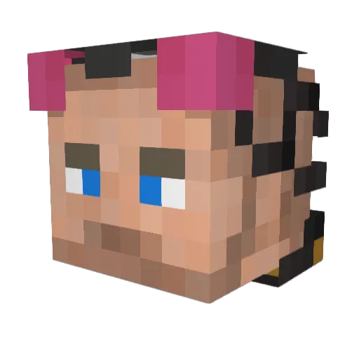 Wfor4L Minecraft avatar head, 3D render