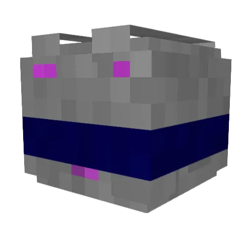 Minecraft-Avatar von Wfrost_: Kopf als 3D-Render