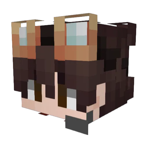 Wh0isalexzero Minecraft avatar head, 3D render