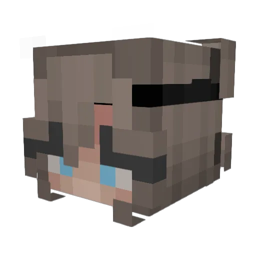 Wh1t3yy Minecraft avatar head, 3D render