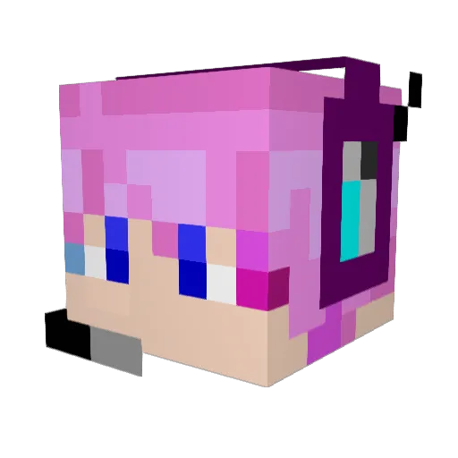 WhIteOutER Minecraft avatar head, 3D render