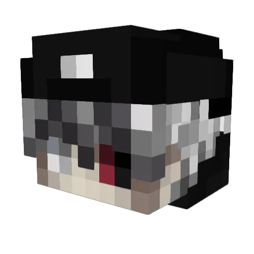 WhYDoIMoD Minecraft avatar head, 3D render
