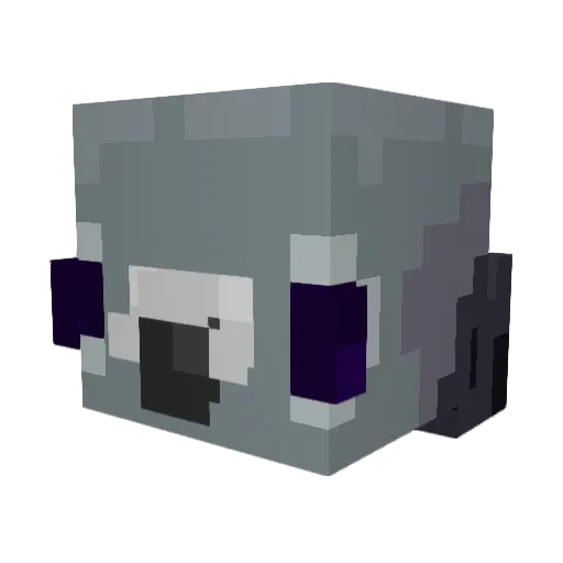 Whacko4Schmackos Minecraft avatar head, 3D render