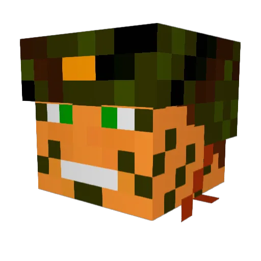 Whakahoa Minecraft avatar head, 3D render
