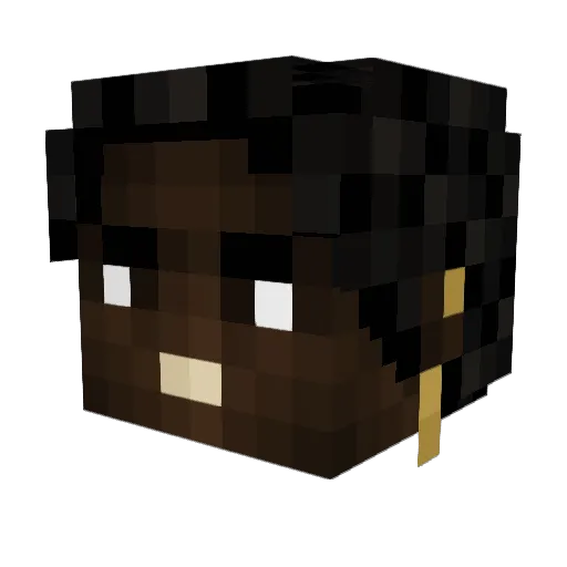 Whal3s Minecraft avatar head, 3D render