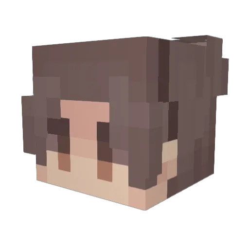 Whale2539 Minecraft avatar head, 3D render