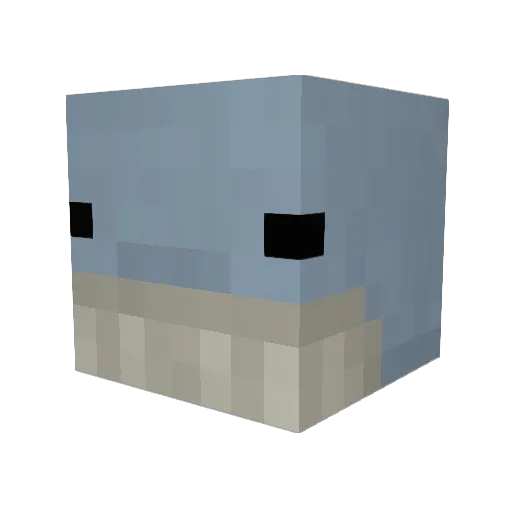 Whale57 Minecraft avatar head, 3D render