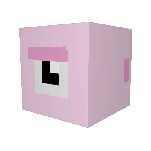 WhaleChum Minecraft avatar head, 3D render