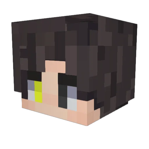 WhaleSm Minecraft avatar head, 3D render