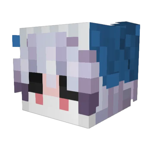 WhaleTails Minecraft avatar head, 3D render