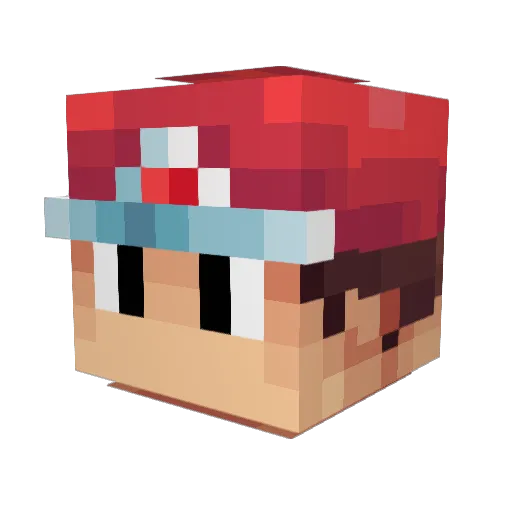 WhaleZip Minecraft avatar head, 3D render