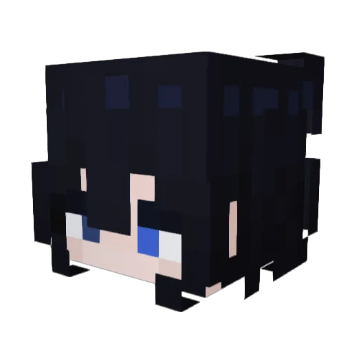 Whale_0608 Minecraft avatar head, 3D render