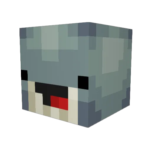 Whale_420 Minecraft avatar head, 3D render