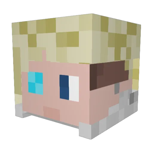 WhaleohWhale Minecraft avatar head, 3D render