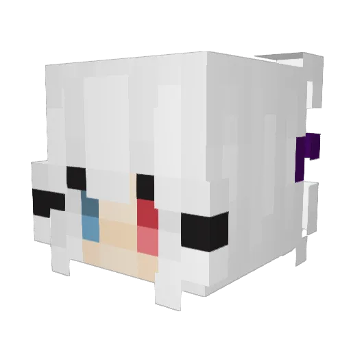 Whaleri Minecraft avatar head, 3D render