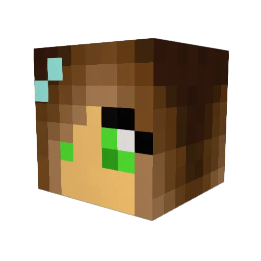 WhalesTail Minecraft avatar head, 3D render
