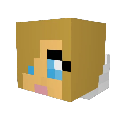 Whales_ Minecraft avatar head, 3D render