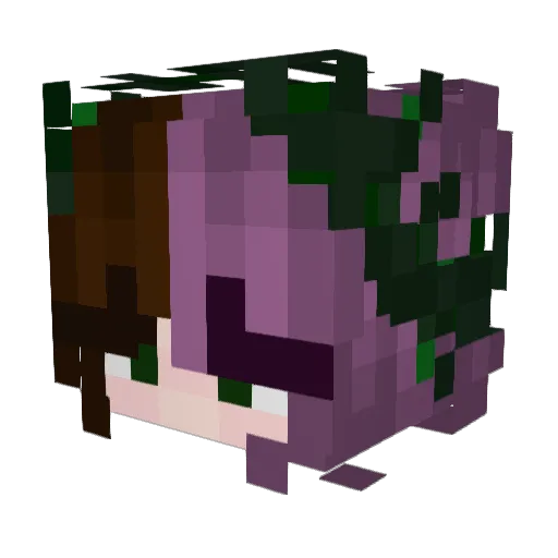 Whaleyy19 Minecraft avatar head, 3D render