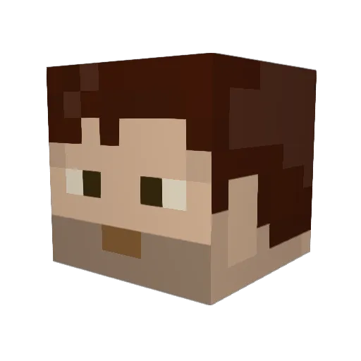 Whamboozler Minecraft avatar head, 3D render
