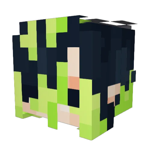 Whammmers Minecraft avatar head, 3D render