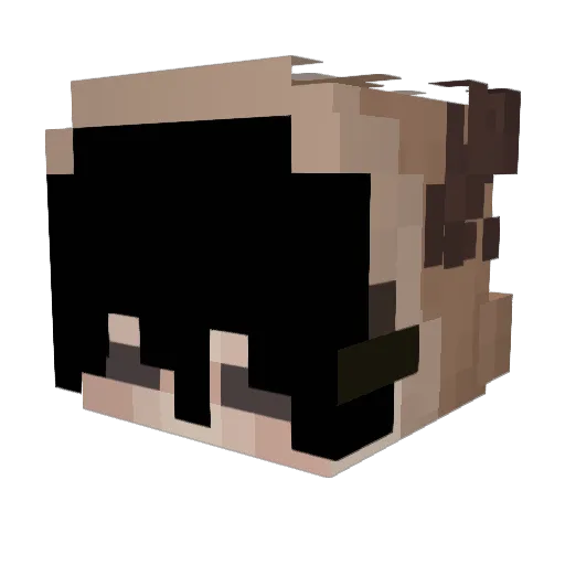 WhammySammy19 Minecraft avatar head, 3D render