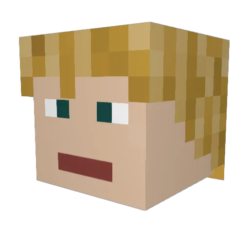 Whamoooooooo Minecraft avatar head, 3D render