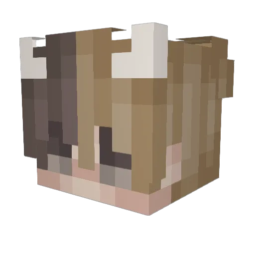 Whampa Minecraft avatar head, 3D render