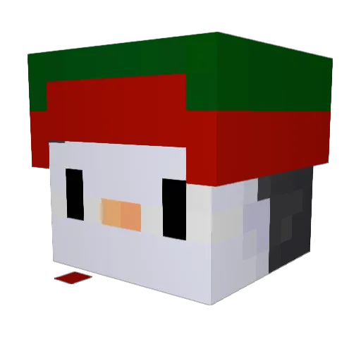 Whappy11 Minecraft avatar head, 3D render