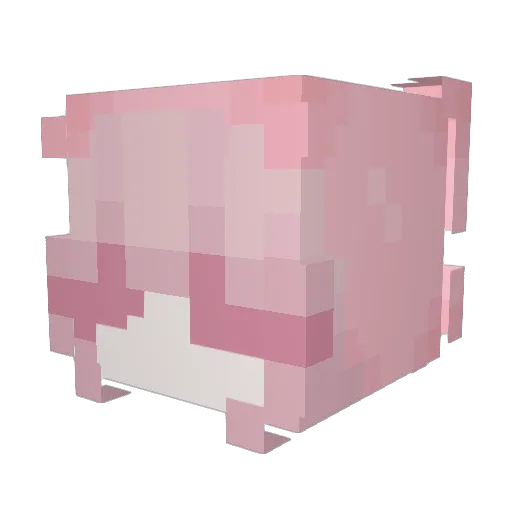 Whasiankid Minecraft avatar head, 3D render