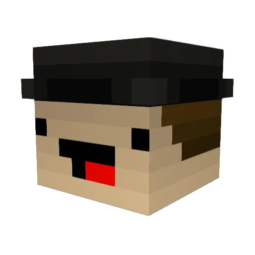 WhatEverBrah Minecraft avatar head, 3D render